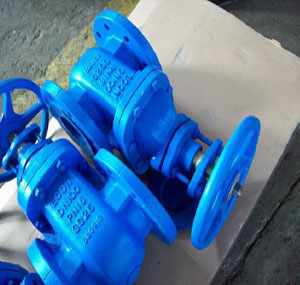 check valve flanged and threaded